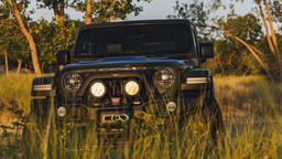 Представлены Jeep Wrangler 2024 для лютого бездорожья