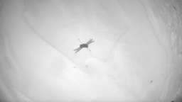 Взята новая высота: вертолёт NASA Ingenuity совершил рекордный полёт на Марсе
