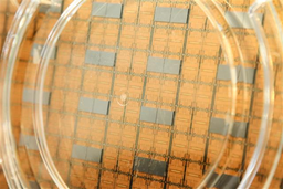 TSMC ужесточает меры предосторожности против коронавируса