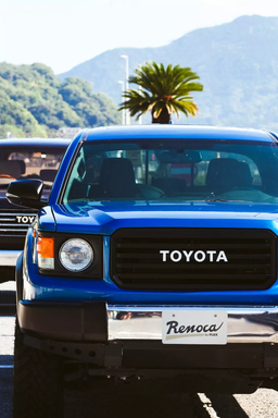 Детище Toyota Tacoma и Land Cruiser. Представлен Renoca Windansea