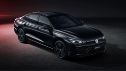 У Volkswagen точно кризис? За 2024 год китайцы купили более 218 тыс. Volkswagen Passat и более 144 тыс. Volkswagen Tiguan