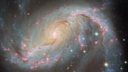 Небесное световое шоу в наблюдениях «Хаббла»: NGC 1672 демонстрирует сверхновую и активное галактическое ядро