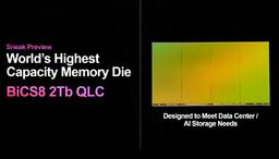 Western Digital представила первый в отрасли чип памяти 3D QLC NAND емкостью 2 Тб
