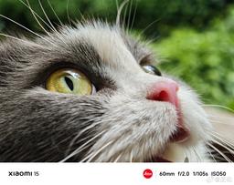 Так фотографируют ещё не представленные Xiaomi 15 и Xiaomi 15 Pro. За несколько дней до анонса компания опубликовала примеры фото