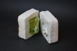 Учёные создали биоразлагаемый материал для 3D-печати из кофейных отходов и грибного мицелия