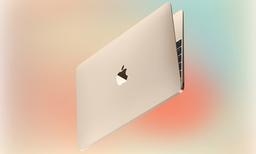 Дешевле Apple никогда не выпускала. Новый MacBook на платформе, как у iPhone 16 Pro, ожидается весной 2026 года
