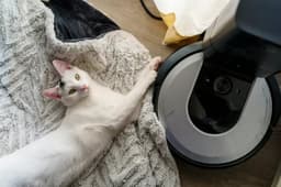 Roomba останется, акции — нет: iRobot уходит с биржи и становится частной компанией
