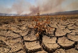2025-й обгоняет прогнозы и станет одним из самых жарких в истории наблюдений