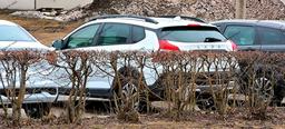 Готовые Lada Iskra в разных версиях показали вживую