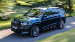В России на продажу выставлены сотни новых Skoda Kodiaq. Полноприводные версии на классифайдах до 1,5 млн рублей дешевле, чем у официальных дилеров