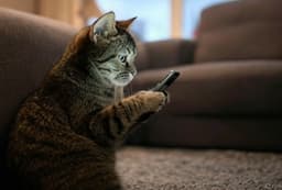 «Рэкс» на связи: представлен PetPhone – смартфон для четвероногих
