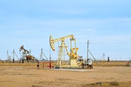 Газопоршневую электростанцию построят для обслуживания месторождения Каражанбас