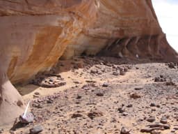 Не миграции, а культурный обмен: 7000-летние геномы скотоводов Зелёной Сахары опровергли гипотезу о «мосте» между Африками