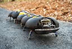 Роботы-многоножки дешевле $1000 готовы заменить ручную прополку и спасти урожаи