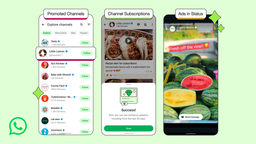 В WhatsApp появится реклама в «Статусах» и платные подписки на «Каналы»