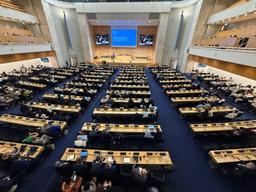 183 страны не смогли договориться: переговоры ООН по пластику снова провалились