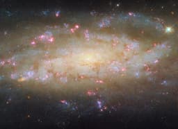 Снимок «Хаббла» раскрывает детали активной спиральной галактики NGC 7456 на краю Вселенной