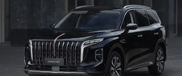 Официальные Hongqi соответствуют требованиям российского законодательства. Компания сотрудничает с ГИБДД для решения вопроса