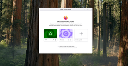 Google Chrome, Safari и Microsoft Edge больше не одиноки: Mozilla добавила в Firefox профили
