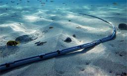 Оптический кабель на дне Каспийского моря появится до конца 2026 года