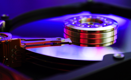 HDD тоже очень нужны для развития ИИ. Производственные мощности Western Digital на текущий год почти полностью забронированы