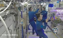 Космические томаты: экипаж «Шэньчжоу-21» собрал первый урожай на орбитальной станции «Тяньгун»