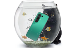 Более 80 ИИ-функций, интеграция с Яндексом, 144 Гц AMOLED, 6500 мА·ч, IP69K: в России стартовали продажи Tecno Camon 50