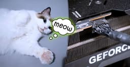 Кот владельца GeForce RTX 4090 «позвал» хозяина из туалета, когда карта загорелась