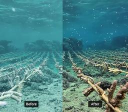 Samsung Galaxy S25 Ultra получил специальный режим съемки Ocean Mode, изначально разработанный для Galaxy S24 Ultra