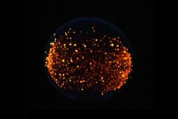 NASA изучит распространение огня на Луне