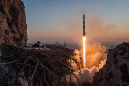 Соколы пережили запуск «Союза-5»: гнездо на Байконуре осталось целым