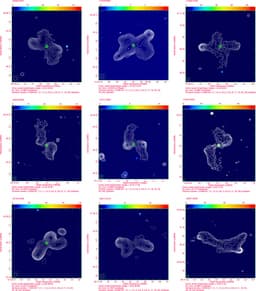 Низкочастотный обзор LOFAR позволил обнаружить сотни гигантских радиогалактик с «крыльями»