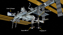 Доставлено с МКС: космический корабль Cargo Dragon с ценным грузом вернулся на Землю