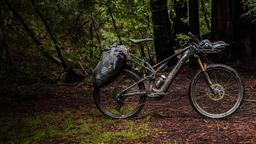 Пиковая мощность 1 л.с. и почти 4,5 часа езды на одной зарядке. Specialized выпустила велосипед Levo 4 X за 12 тыс. долларов