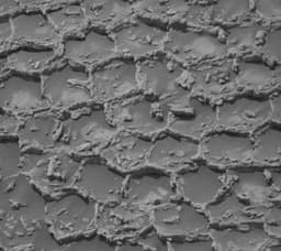 Curiosity опроверг орбитальные данные: «гладкий» участок Марса оказался покрыт полигональными структурами
