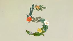 Anthropic выпустила Claude Sonnet 5: новая модель почти догнала Opus 4.8, сохранив низкую цену