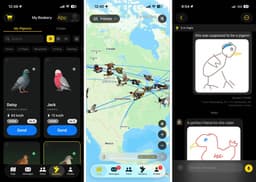 Голубиная почта 2.0: мессенджер Roost для «медленного общения», в котором сообщения доставляют птицы, неожиданно стал хитом