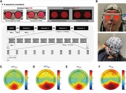 Прозрачные OLED-очки синхронизировали гамма-ритмы мозга — технологию готовят к испытаниям при когнитивных нарушениях
