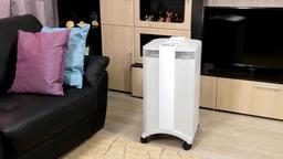 Очиститель воздуха IQAir HealthPro 250 NE: