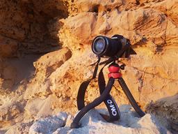 Две недели с Olympus OM-D E-M10 Mark III: