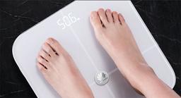 Huawei Body Fat Scale AH100: