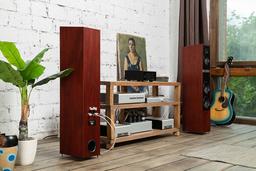 Трехполосная напольная акустика Martin Logan Motion 40i: