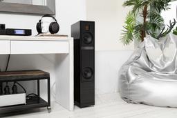 Напольная акустика Martin Logan Motion 20i: