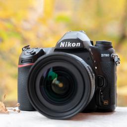 С Nikon D780 по Владимирской области: