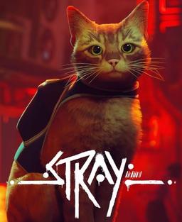 Что умеют современные видеокарты в современных играх: Stray.