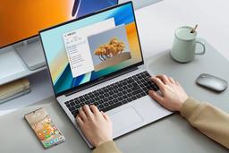 Ноутбук Huawei MateBook D 16 (MCLG-X):