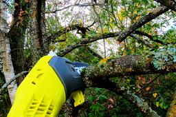 Аккумуляторный штанговый высоторез Ryobi OPP1820: теперь стремянка не потребуется