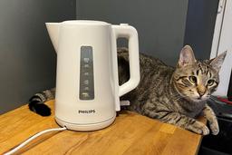 Электрический чайник Philips 3000 HD9318/00: колба 1,7 л, съемный нейлоновый фильтр и ничего лишнего