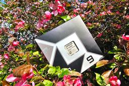 Процессор AMD Ryzen 9 9950X3D2 для платформы АМ5: технически идеален… и страшно невыгоден