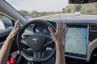 Tesla вырубает лес и угрожает нехваткой питьевой воды ради нового завода
